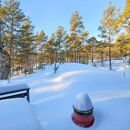 Cozy In Bo I Telemark * Lona